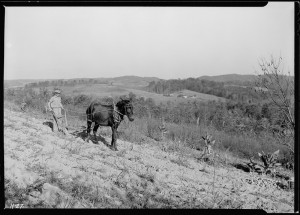lossy-page1-800px--Boy_plowing_potato_field_with_a_mule_and_bull-tongue_plow_on_steep_slope_on_J._W._Melton_farm_on_Andersonville..._-_NARA_-_532651.tif